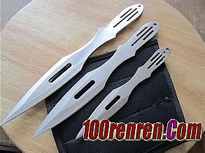 ��־�ᰲ��100�ּƻ�