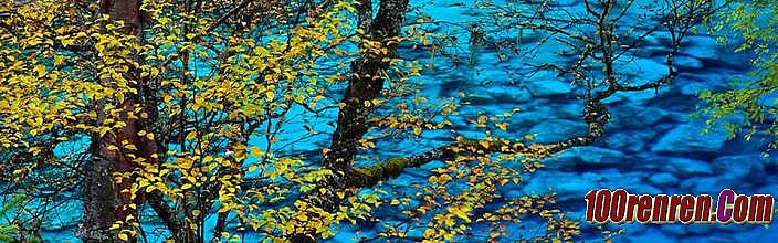 ��Ѫ����1.76��ʦ����